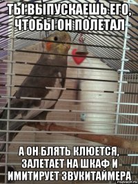 ты выпускаешь его, чтобы он полетал а он блять клюется, залетает на шкаф и имитирует звукитаймера
