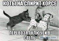 коты на спирит хорсе перевозят ключей в степь