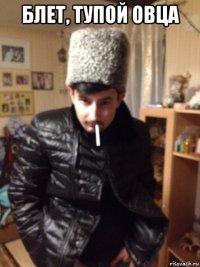 блет, тупой овца 