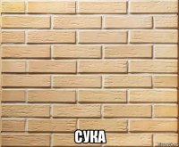  сука