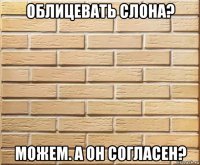 облицевать слона? можем. а он согласен?