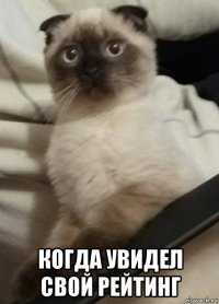  когда увидел свой рейтинг