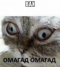 вах 