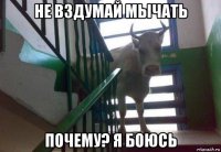 не вздумай мычать почему? я боюсь