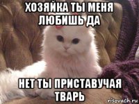 хозяйка ты меня любишь да нет ты приставучая тварь