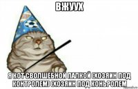 вжуух я кот сволшебной палкой (хозяин под контролем) (хозяин под коньролем