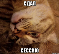 сдал сессию