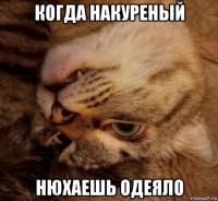 когда накуреный нюхаешь одеяло