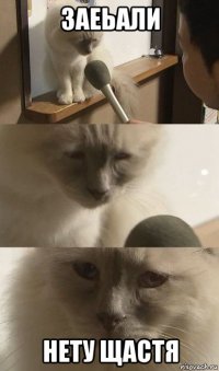 заеьали нету щастя
