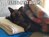 теперь я тут devops 