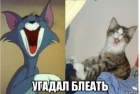  угадал блеать