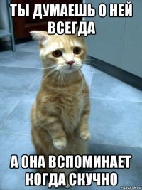 ты думаешь о ней всегда а она вспоминает когда скучно