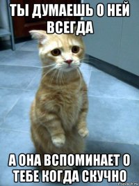 ты думаешь о ней всегда а она вспоминает о тебе когда скучно