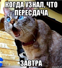 когда узнал, что пересдача завтра