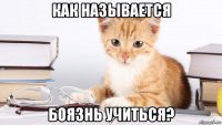как называется боязнь учиться?