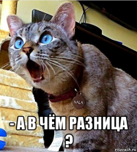  - а в чём разница ?