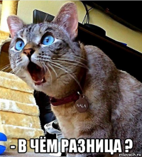  - в чём разница ?