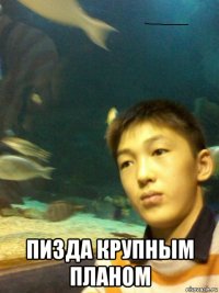  пизда крупным планом