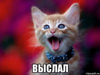  выслал