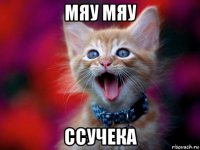 мяу мяу ссучека