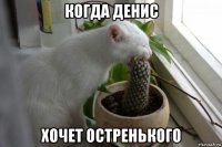 когда денис хочет остренького