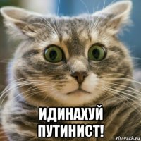  идинахуй путинист!