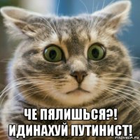  че пялишься?! идинахуй путинист!
