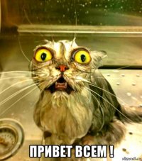  привет всем !