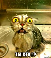  ты кто ! ?