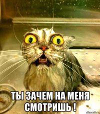  ты зачем на меня смотришь !