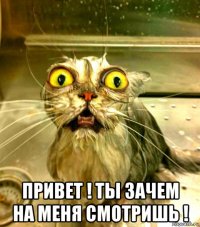  привет ! ты зачем на меня смотришь !