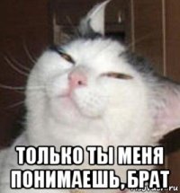  только ты меня понимаешь, брат