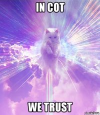 in cot we trust