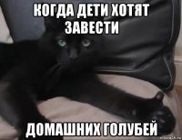 когда дети хотят завести домашних голубей