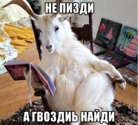 не пизди а гвоздиь найди