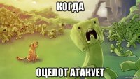 когда оцелот атакует