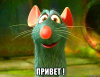  привет !