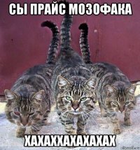 сы прайс мозофака хахаххахахахах