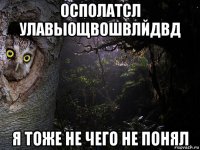 осполатсл улавыощвошвлйдвд я тоже не чего не понял
