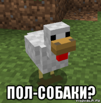  пол-собаки?