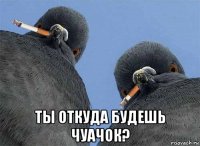  ты откуда будешь чуачок?