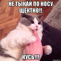 не тыкай по носу щектно!! кусь!!!