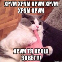 хрум хрум хрум хрум хрум хрум хрум тя крош зовёт!!!