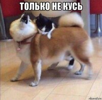 только не кусь 