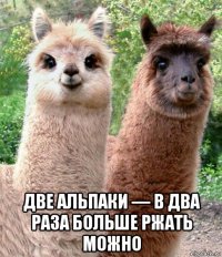  две альпаки — в два раза больше ржать можно