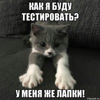 как я буду тестировать? у меня же лапки!