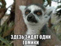  здезь зидят одни гомики
