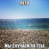 лето мы скучаем по тебе