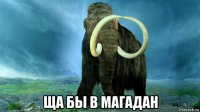  ща бы в магадан