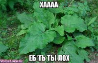 хаааа еб*ть ты лох